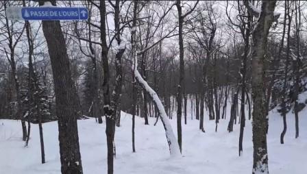 Mont Orford -  Une journée sans vent et des pistes impéccables