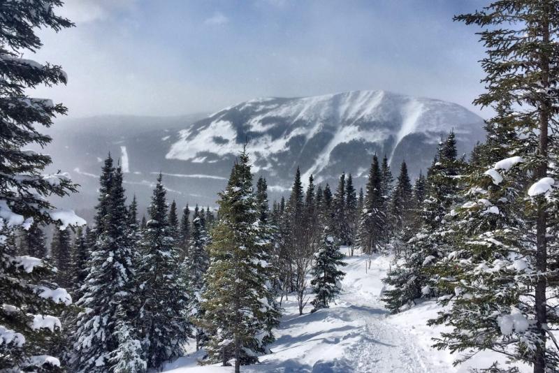 Parc national Gaspésie -  Encadrement ski hors piste, secteur Mt Albert