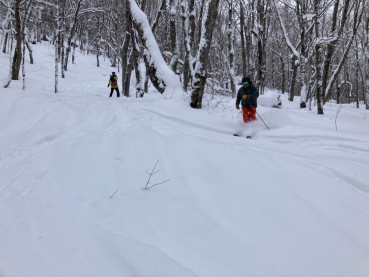 Station touristique Massif du Sud - Une neige souple et moelleuses...