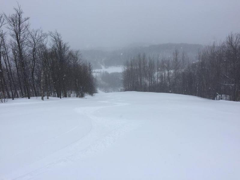 Mont Blanc - Une fine neige est tombée toute la nuit.