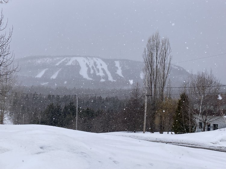 Mont Comi - Station recommandée pour la prolongation du printemps Mont Comi - Station recommandée pour la prolongation du printemps