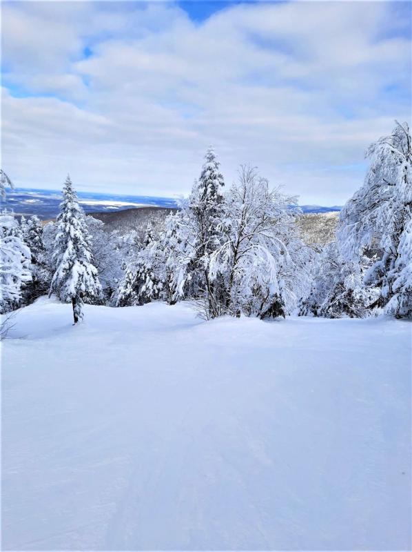 Mon Sutton - L'hiver a repris ses droits...