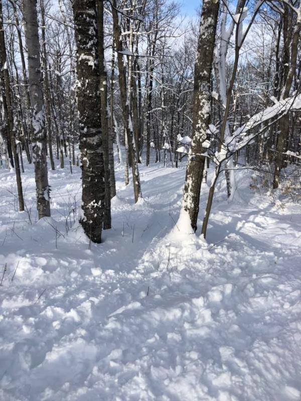 Sommet St Sauveur les sous bois sont ouverts WOW!