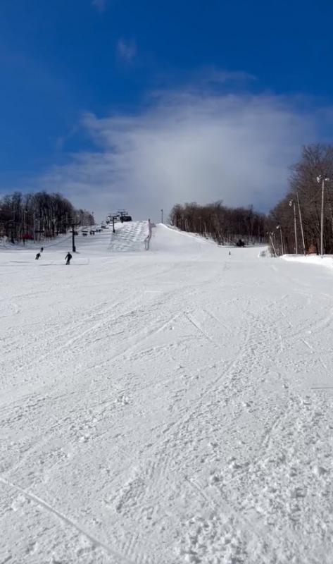 Sommet Saint-Sauveur -  Le printemps est arrivé, c'est la belle saison